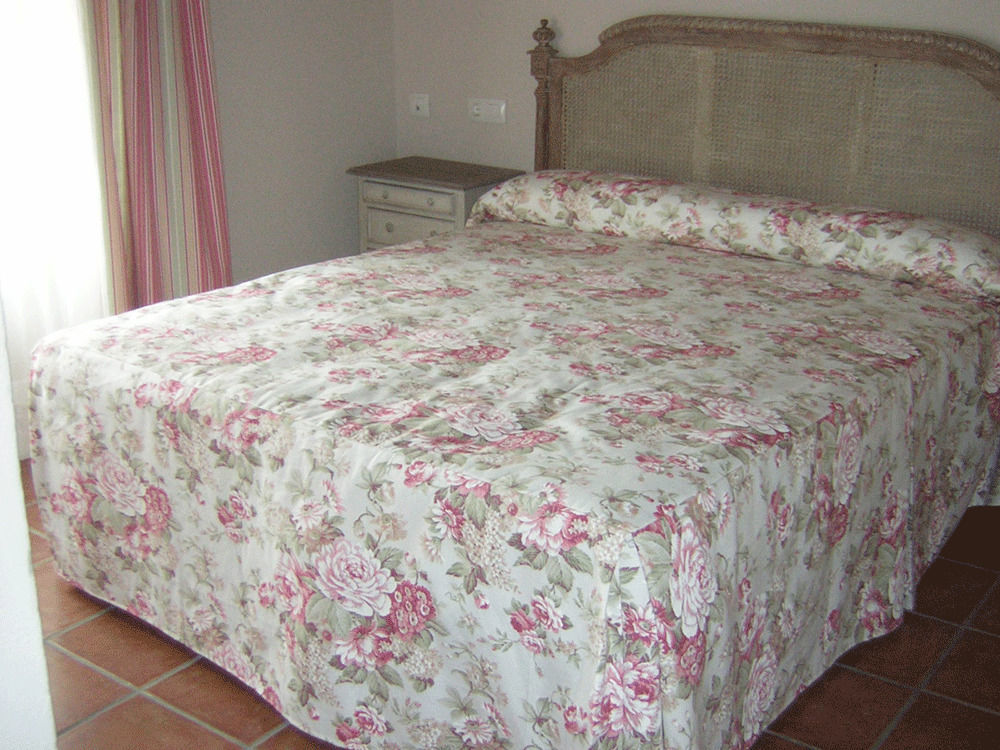 La Casona De Dona Petra Hotel Villarmentero de Campos Bagian luar foto